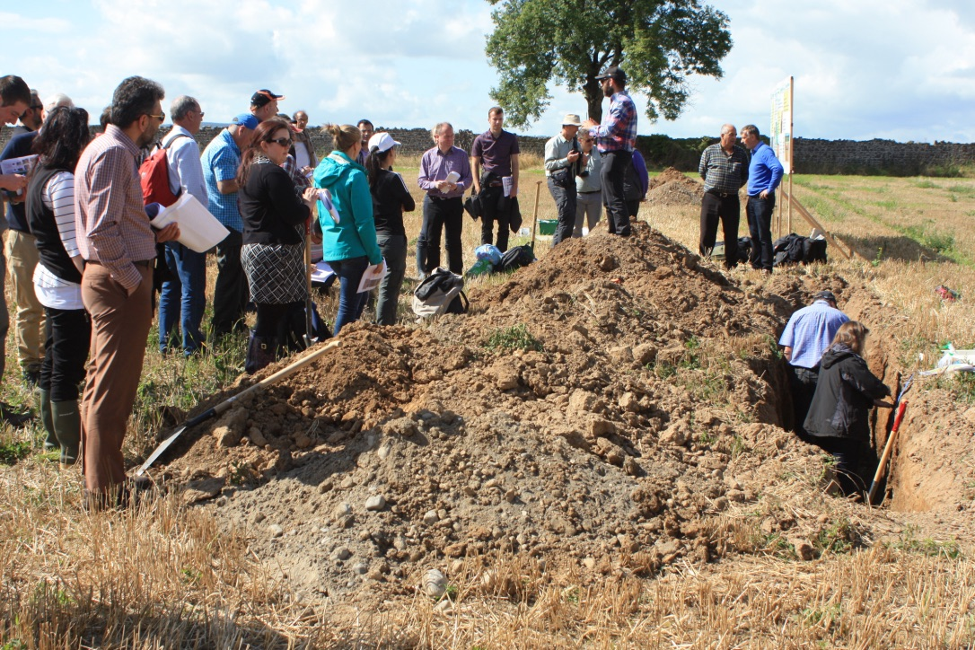 soil workshop